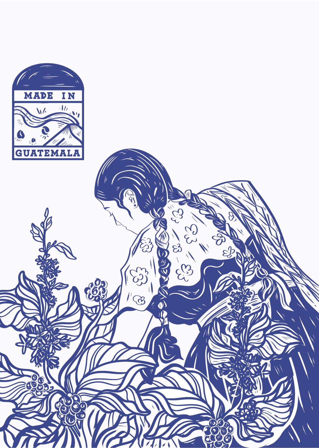 SINGLE ORIGIN - GUATEMALA